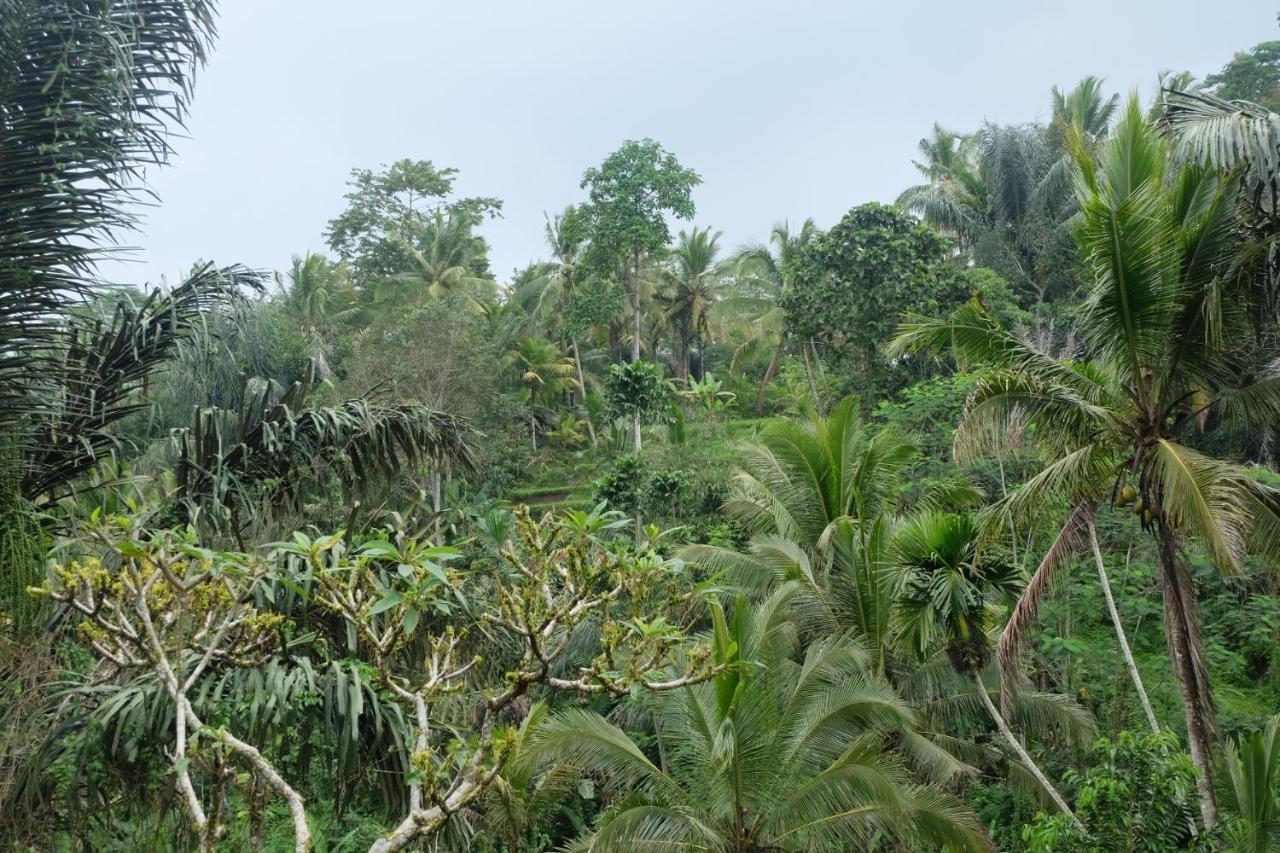 Gunung Kawi House Villa Tegallalang  Kültér fotó