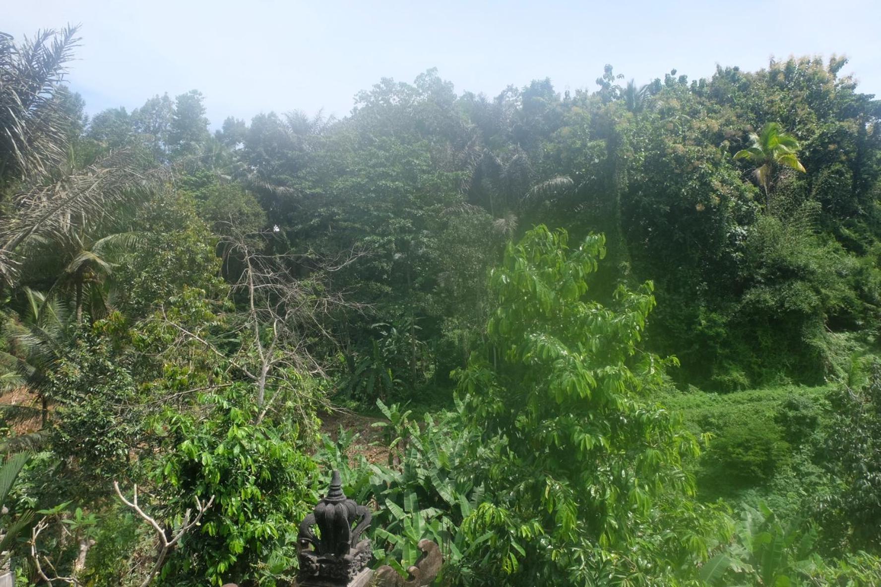 Gunung Kawi House Villa Tegallalang  Kültér fotó