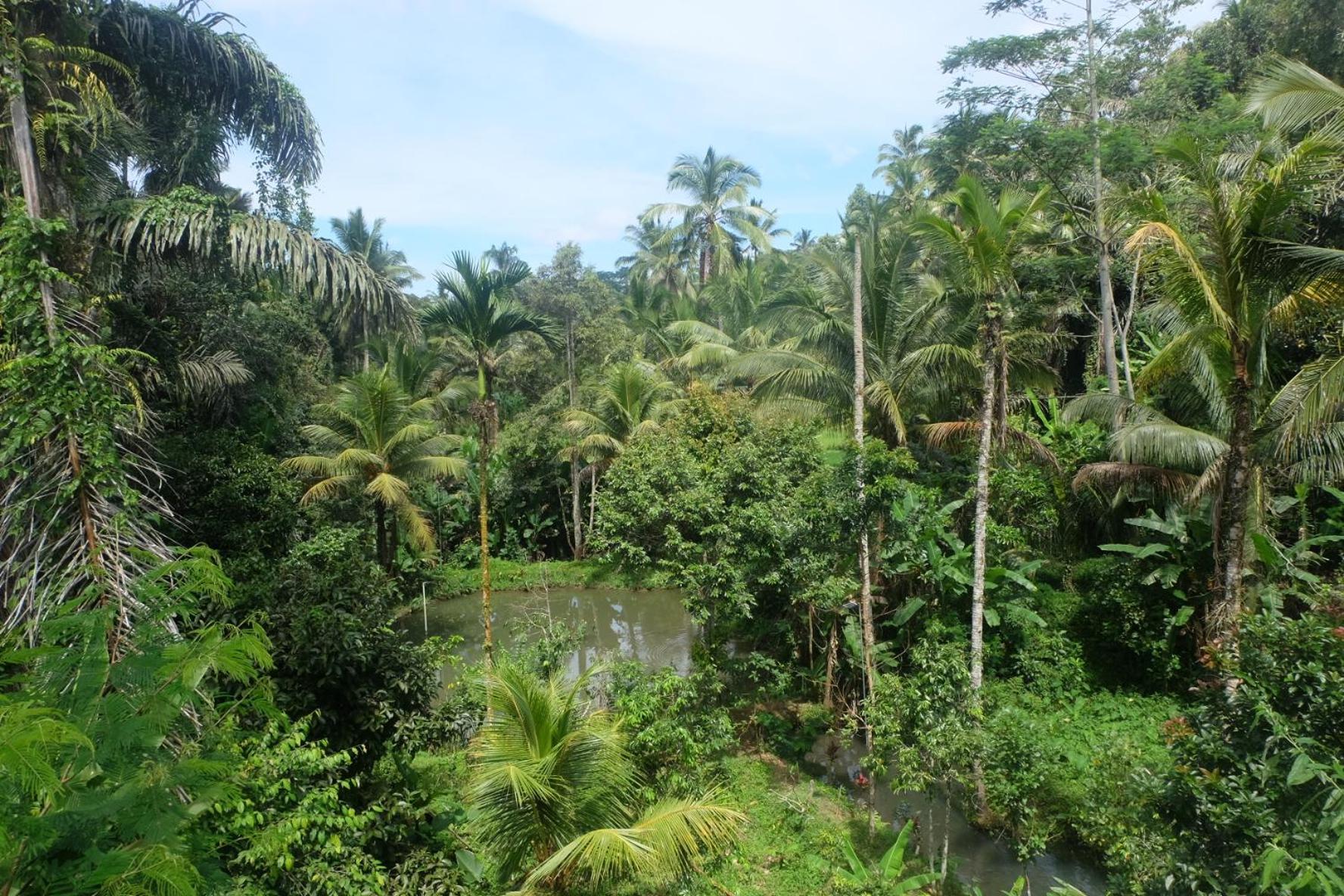 Gunung Kawi House Villa Tegallalang  Kültér fotó