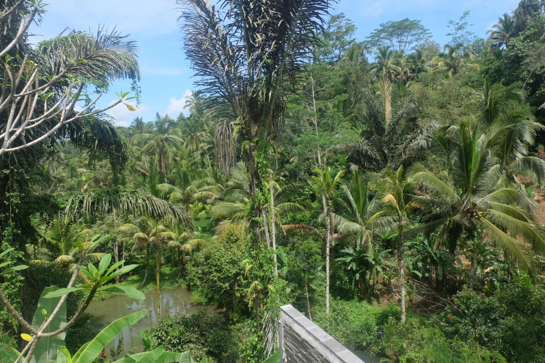 Gunung Kawi House Villa Tegallalang  Kültér fotó